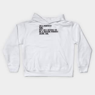 Am I Perfect? No. Am I Trying To Be A Better Person? Also No funny gift for Christmas Kids Hoodie